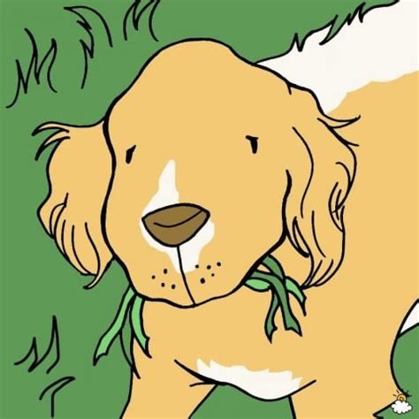 Il risultato ottenuto prende il nome di. Motivi per cui il tuo cane vomita e quando devi chiamare ...