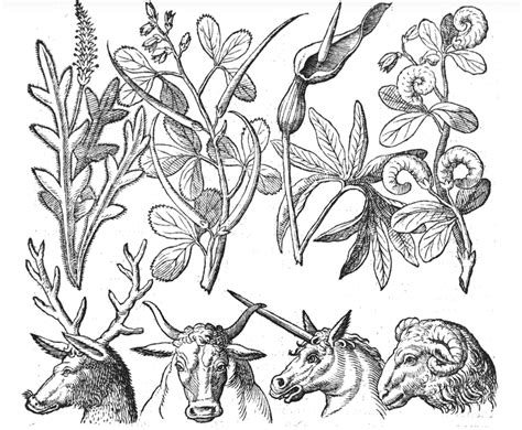 Free printable museum coloring pages for kids. Museum Coloring Pages - cet fourth grade art