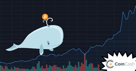 Bitcoin news, technical analysis & trading channel. Researchers say: There was one whale behind the 2017 rally