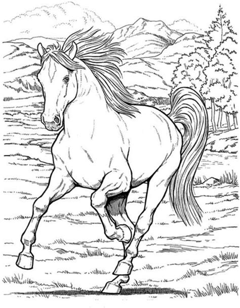 Color in this picture of a horse and others with our library of online coloring pages. Free realistic wild Horse coloring pages to print ...
