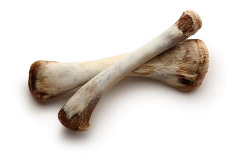 I have a year and a half old female cat that will try to steal these. Can Cats Eat Chicken Bones: Raw or Cooked?