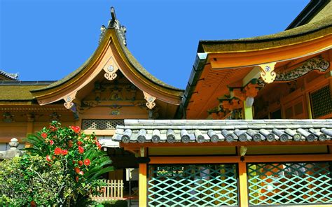 Borrowed from japanese 松山 (matsuyama). Travel & Adventures: Matsuyama ( 松山 ). A voyage to ...