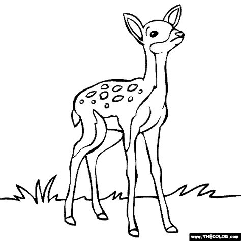 Steeds wordt er een nieuwe kleurplaat aan de collectie toegevoegd. Baby Deer Coloring Page