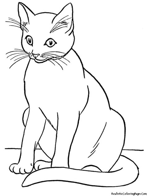Dog coloring pages depict various types of dogs which makes filling them up with diversified colors an interesting experience. Realistic Kitten Coloring Pages | Cat coloring book, Bird ...