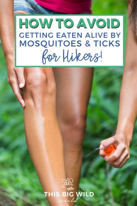 How to Avoid Getting Eaten Alive by Mosquitoes & Ticks While Hiking ...