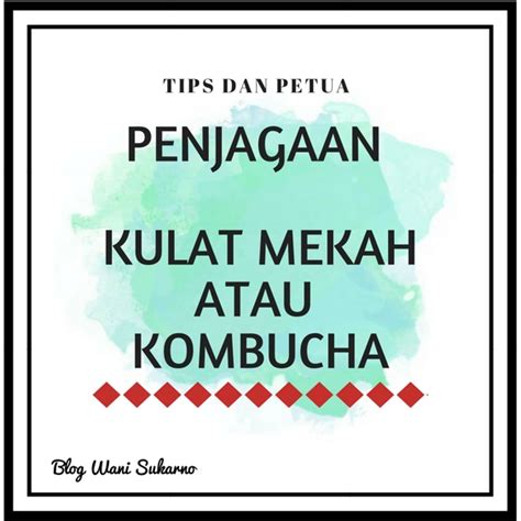 Kesembuhan dari penyakit itu dengan melakukan tiga hal : Tips Dan Petua Penjagaan Cendawan Mekah Di Rumah