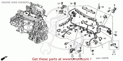 I just bought a bazooka tube with fast wiring harness for my 07 ex coupe w/ premium stereo. Wiring Diagram Honda Odyssey 1997 - Wiring Diagram