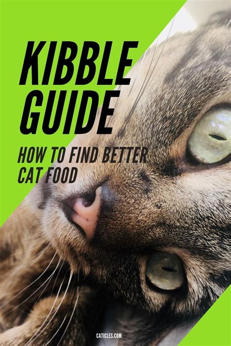 Best wet cat food 2020 canada. Is Kibble Bad for Cats? What They Don't Want You to Know ...