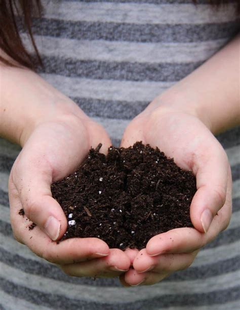 Check spelling or type a new query. Types of Soil: What's in Your Garden? - Home for the Harvest