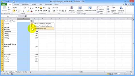 Stattdessen können sie lernen, wie sie zellen zusammenführen excel um ihr microsoft excel ist das begehrte tabellenkalkulationssystem, mit dem sie ihre daten in zeilen und spalten organisieren. Excel 2010 Aufbau Part 11: Einfügen oder Löschen von ...