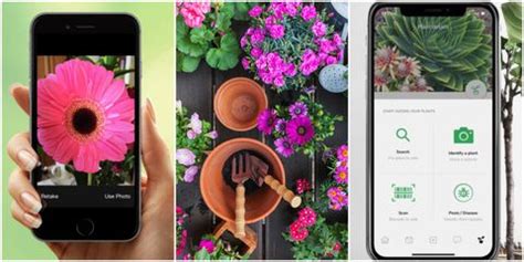 With this one app, users can bank, shop, travel, pay bills, recharge, invest, etc. 15 Gardening Apps & Plant Identifiers To Plan Your Garden ...