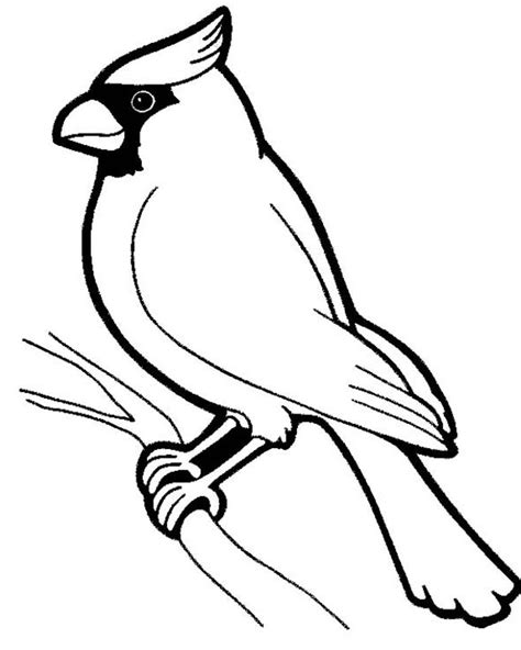 Maybe you would like to learn more about one of these? Sketsa Gambar Burung Yang Mudah - Gambar Burung