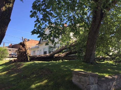 A colorado derecho on june 6 had winds in excess of 100 mph. Derecho storm damage | The Timberjay