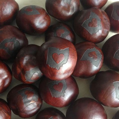 Buckeye nuts are used for prosperity, healing, career and good luck. Pin on Ohio State University Buckeyes