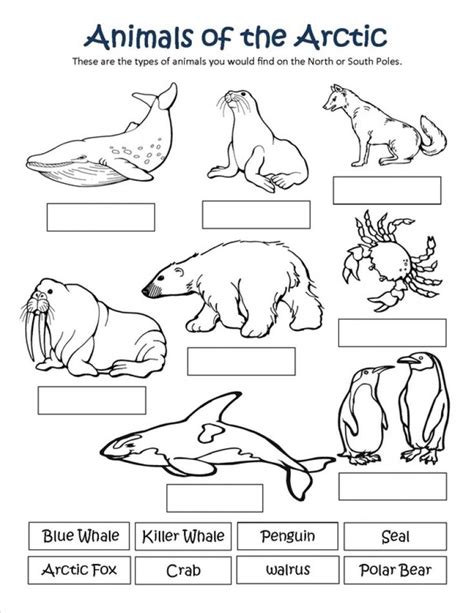 Printed with museum quality pigment inks on 100% cotton rag paper for superior color and longevity. Arctic Animal Coloring Pages With Regard To Really ...