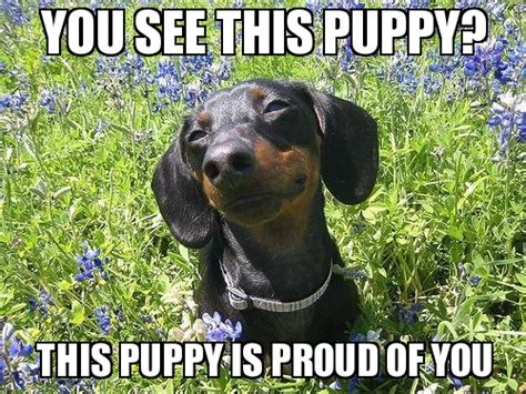 Another way to say so proud of you? 30 Proud Of You Memes You Should Be Sending Out Right Now ...
