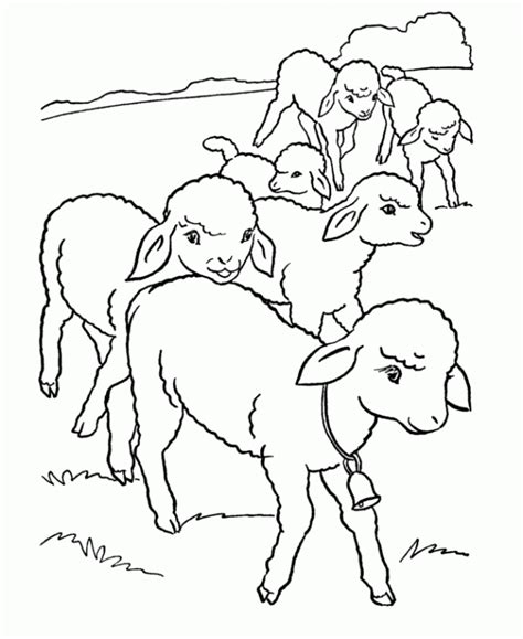 Free coloring sheets to print and download. Coloring Pages Sheep - Coloring Home