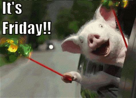 A fresh start full of optimism for the new semester. YAY!! It's Friday!! #ReactionGifs