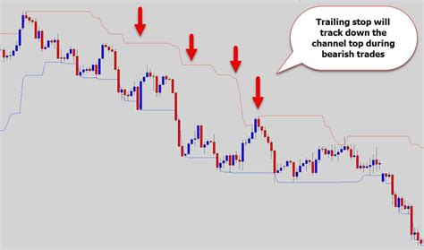 Participants in the recent 5 year tournament were the first to receive this tool as a reward. Wow! The Greatest Trailing Stop Loss Tool For Metatrader