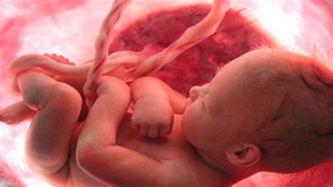 ••• bagaimana perkembangan janin pada ibu hamil 3 bulan? bayi: Ukuran Bayi Dalam Kandungan 5 Bulan