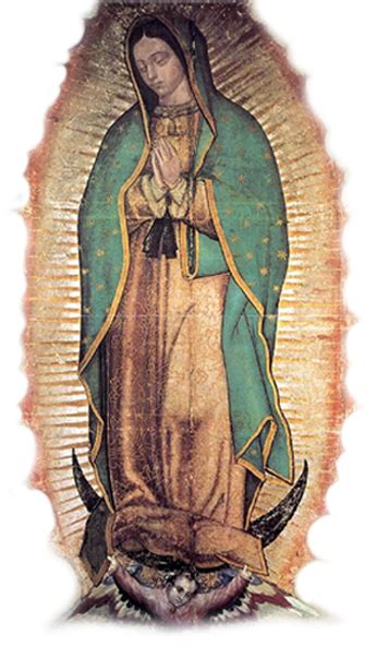 Check spelling or type a new query. guadalupe_sb_01+(1).png (346×604) | Manto de la virgen ...