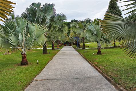Now it's even easier with the tropika bukit jalil, bigger space bigger savings. Bukit Jalil Park | JustRunLah!
