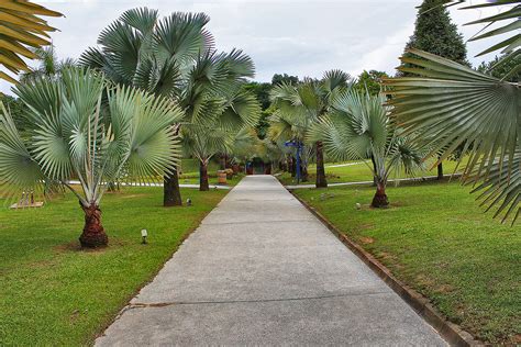 Park, bukit jalil golf course, endah parade, bukit jalil light rail transit station, sri petaling light rail transit station and technology park. Bukit Jalil Park | JustRunLah!