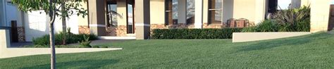 Get free price quotes today! 5 Reasons Families Prefer Sir Walter Buffalo Grass in Sydney