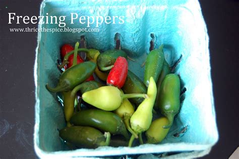 Check spelling or type a new query. Freezing Peppers | Stuffed peppers, Freezing peppers, Frozen
