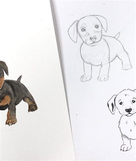Most visitors are a little shocked (to put it mildly) when they arrive at animal town. How To Draw a Dog (or ANY Animal | Drawings, Sketches, Art