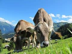 Ganz im zeichen des wechsels an der vereinsspitze stand die jahreshauptversammlung des arbeitergesangsvereines (agv) frantschach. Für unsere Landwirtschaft: Empfehlung zur ...