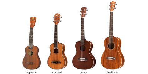 Check spelling or type a new query. Quiz: What Size Ukulele Should I Get? - BestFunQuiz