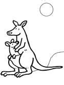 Funny kangaroo coloring page from kangaroos category. Kangaroo Coloring Pages