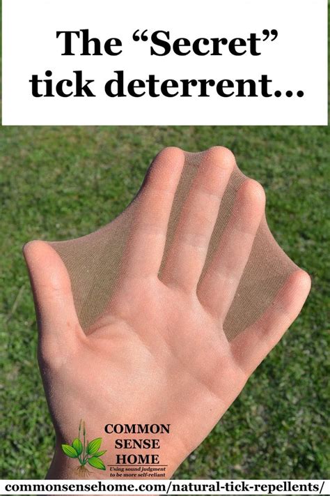 Maybe you would like to learn more about one of these? Natural Tick Repellents and Easy Tick Control Tips ...