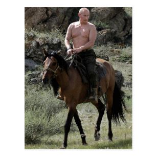 Wenn wladimir putin daran erinnert wird, dass er nun schon seit 20 jahren an der macht ist, korrigiert er sein gegenüber die große pose beherrscht putin nicht nur zu pferd. Putin Postkarten | Zazzle.de