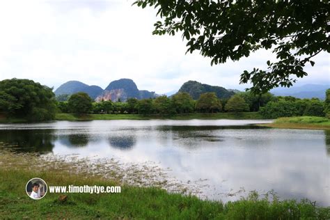 Ke lelangit, menyebabkan peningkatan sederhana kekejangannya sekaligus mengurangkan getaran dan bunyi bising. Taman Herba Negeri Perak, Gopeng, Perak