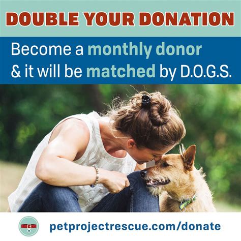 Connect with the best pet sitters in duluth—today! Pet Project Rescue - Animal Shelters - Downtown ...