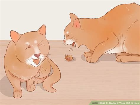 Cat names that get your cat's attention: 3 Ways to Know if Your Cat Is Sick - wikiHow