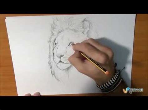 Inserisci > forme > linee e prendi l'ultima. Come disegnare un leone vero - YouTube