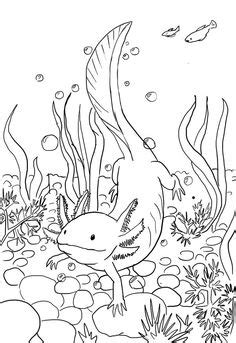 The easy drawing book for teens: How to Draw a Axolotl printable step by step drawing sheet : DrawingTutorials101.com en 2019 ...