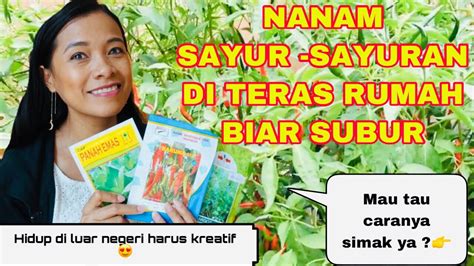 Berikut ini adalah cara menanam sawi hijau: TIPS CARA MENANAM SAYUR -SAYURAN KANGKUNG ,CABE ,BAYAM DI ...