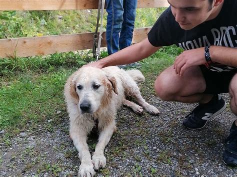 Mehr kinder in schweizer gewässern ertrunken in: Hochwasser: Autolenker in Gail ertrunken - kaernten.ORF.at