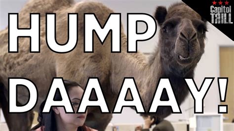 A camel distracts people working in the office because its a hump day. GEICO - HUMP DAY (TWERK MIX)-CAPITOL TRILL - YouTube