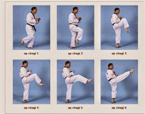 2) kaki kanan ditendangkan ke depan dengan hentakan punggung kaki. Jenis Tendangan Dasar Pada Taekwondo | KASKUS