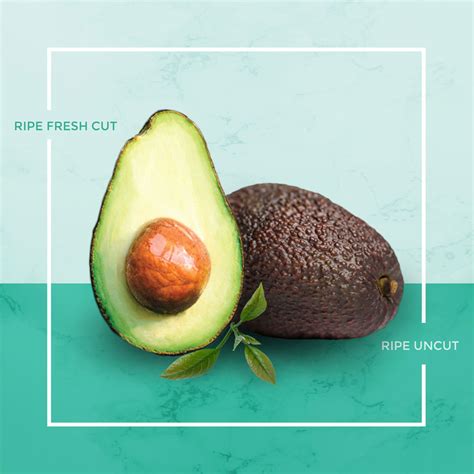Avocados are fairly delicate and will brown quite quickly after they've turned ripe, especially if they've been cut. Tips on how to keep avocados after being cut l การเก็บ ...