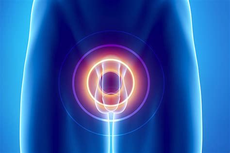 Der penis des menschen, genannt auch männliches glied des menschen, ist neben dem hodensack eines der äußeren geschlechtsorgane des mannes. Kleiner Penis - ab wann ist er wirklich zu klein?