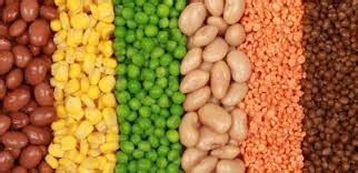 Ini termasuk makanan hewan dan tumbuhan sumber protein nabati. 13 Sumber Makanan Mengandung Protein Nabati - Media Kesehatan