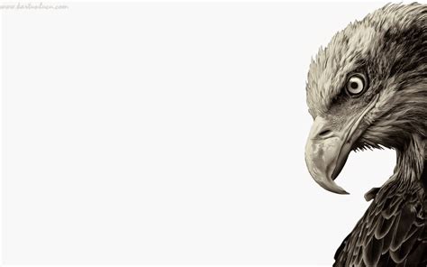 Siapa sebenarnya perancang garuda pancasila creative blog idealist via blog.iscreativeworks.com. Gambar Kartun Hitam Putih Burung Keren | Bestkartun