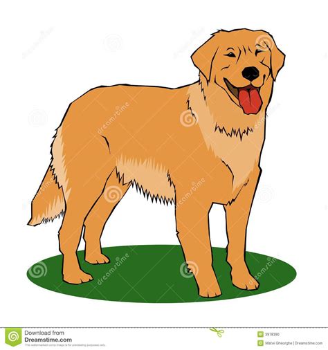 Check spelling or type a new query. Chien D'arrêt D'or Photo stock - Image: 3978390