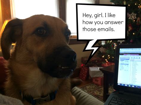 You can work from home and you can expect to make a decent side income by completing online surveys. Working from Home With a Dog: The Good, the Bad and the ...